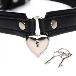 Lieblingsschmuck Abschließbares Choker-Halsband »Locking Heart Collar« -JOYDIVISION Geschäft Abschlie bares Choker Halsband Locking Heart Collar .SK025 00 3f4