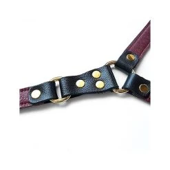 BDSM-Connector Aus Leder Von »The Stockroom« -JOYDIVISION Geschäft BDSM Connector aus Leder von The Stockroom .L0982 00 4f27