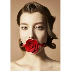 Ballknebel UPKO »Rose Ball Gag« -JOYDIVISION Geschäft Ballknebel UPKO Rose Ball Gag .KN097 01 3f12