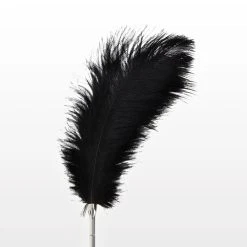 Taboom Federtickler »Bondage In Luxury« Mit Schwarzen Federn 8 Taboom Federtickler »Bondage In Luxury« Mit Schwarzen Federn -JOYDIVISION Geschäft Federtickler Bondage in Luxury mit schwarzen Federn.FD015 00 2f25