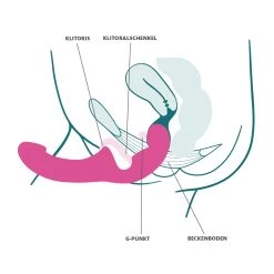 Fun Factory »SHARE LITE« Doppeldildo -JOYDIVISION Geschäft Fun Factory SHARE LITE Doppeldildo.FF255 00 3f110