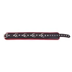 Lieblingstoys Halsband Leder - Schwarz, Schmal 9 Lieblingstoys Halsband Leder - Schwarz, Schmal -JOYDIVISION Geschäft Halsband Leder schwarz schmal.L0788 0S 3f12