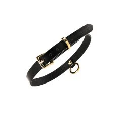Halsband »Thin Choker« Aus Leder Von »UPKO« -JOYDIVISION Geschäft Halsband Thin Choker aus Leder von UPKO .L0610 00 2f26
