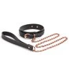 Lieblingstoys Halsband Mit Führleine »Bondage Couture Collar & Leash« Vegan 2 Lieblingstoys Halsband Mit Führleine »Bondage Couture Collar & Leash« Vegan -JOYDIVISION Geschäft Halsband mit Fuehrleine Bondage Couture Collar Leash vegan.L0321 00 f4