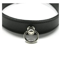 Lieblingstoys Halsband Schwarz Mit Kleinem O-Ring -JOYDIVISION Geschäft Halsband schwarz mit kleinem O Ring.L0305 08 1f4