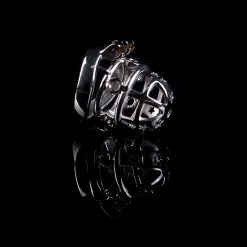 Lieblingstoys Peniskäfig »Paincage« Aus Edelstahl Mit Spitzen Schrauben -JOYDIVISION Geschäft Peniskaefig Paincage aus Edelstahl mit spitzen Schrauben.DI027 00 3f1