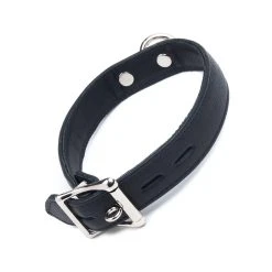 Schmales Leder-Halsband Mit O-Ring Von »The Stockroom« -JOYDIVISION Geschäft Schmales Leder Halsband mit O Ring von The Stockroom .L0990 00 1f4