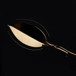 Wachs-Schaber »Candle Wax Scraper« Von »UPKO« Mit Dornen 13 Wachs-Schaber »Candle Wax Scraper« Von »UPKO« Mit Dornen -JOYDIVISION Geschäft Wachs Schaber Candle Wax Scraper von UPKO mit Dornen.KE050 00 5f103